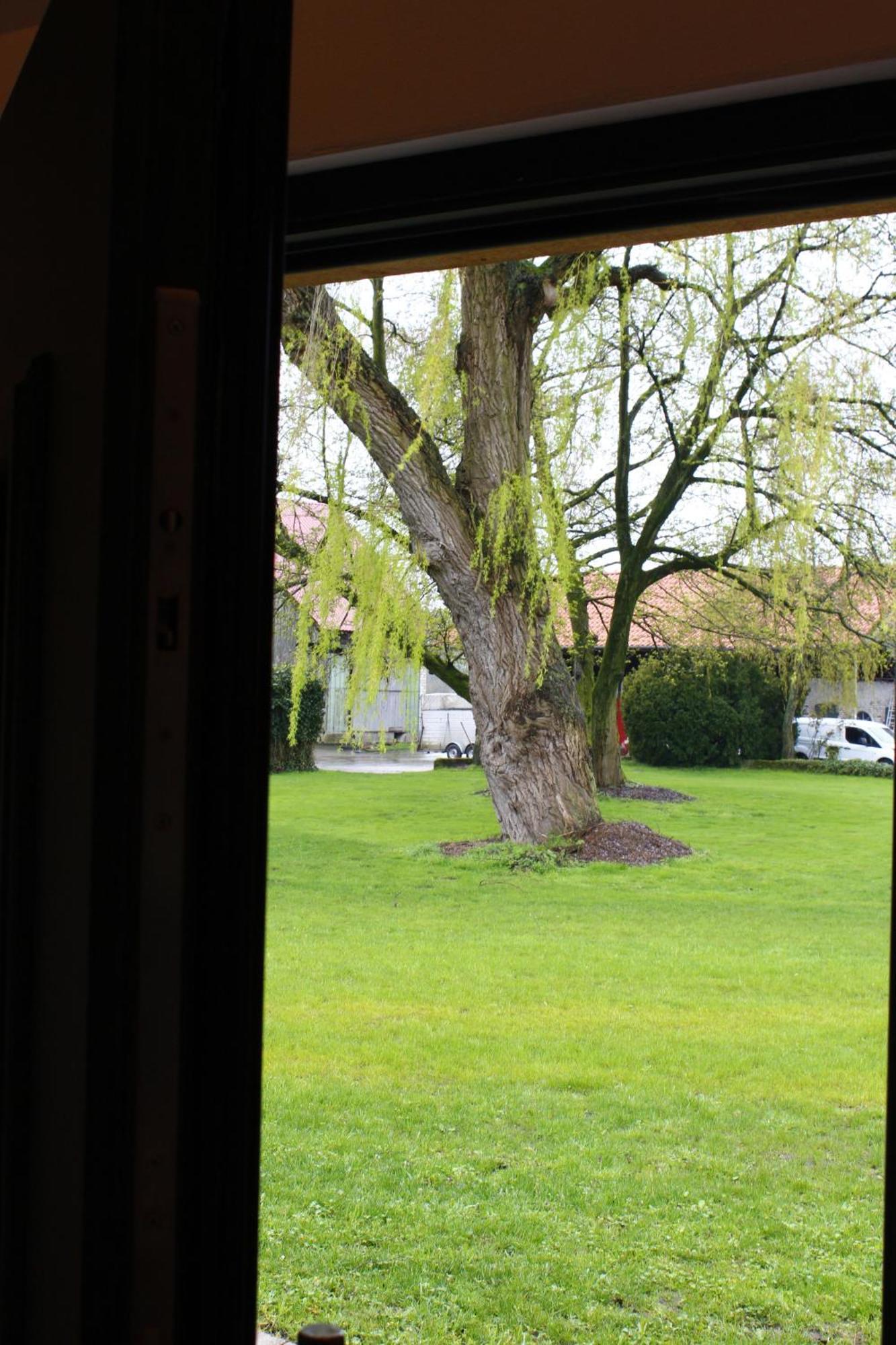 Apartamento Weitblick - Ruhepol In Muensterlaender Parklandschaft Dülmen Exterior foto